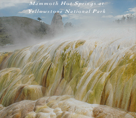 Mammoth Hot Springs at Yellowstone National Park